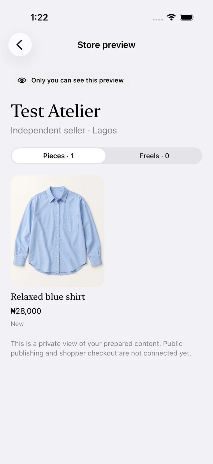 Naija Fashion private store preview showing only seller items marked ready for preview.